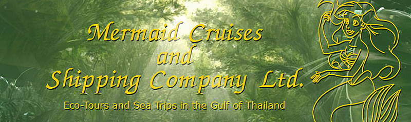 huahin cruises